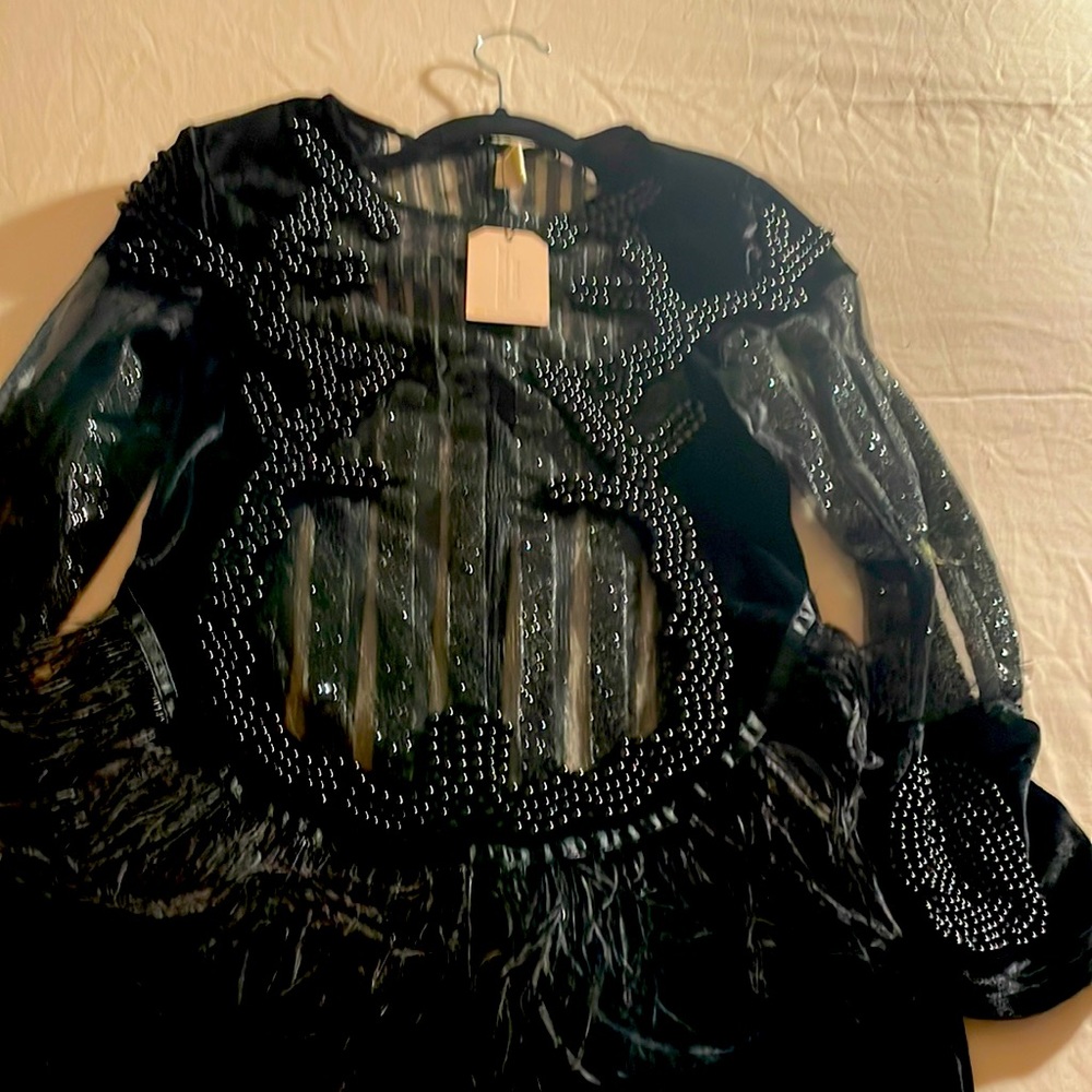 Velvet,beads, feathers,  sequins and lace makes this dress stunning!